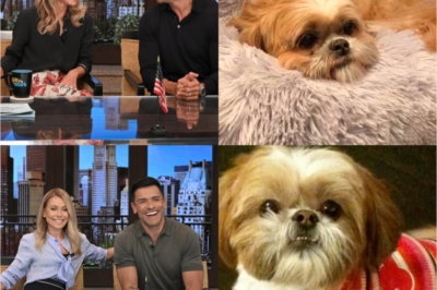 Kelly Ripa broke down on LIVE, moving the audience to tears as she shared a heartbreaking family tragedy: “We had to let her go—it was unbearable…”