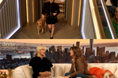 VIDEO: A staff member from The Drew Barrymore Show disgusted viewers by leaking footage of Drew Barrymore and Selma Blair sniffing each other’s “private areas”: “That was just a glimpse…”