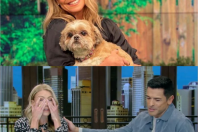 Kelly Ripa left the LIVE audience in tears as she opened up about a devastating family tragedy: “We had to let her go because the pain was unbearable…”
