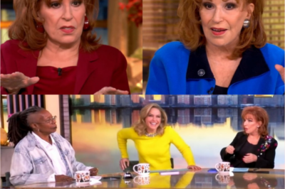Joy Behar sparks rumors of a feud with Whoopi Goldberg on The View after she “ignored” her co-host during the latest episode.