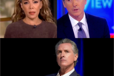 The hosts of The View have revealed California Governor Gavin Newsom’s misdeeds, accusing him of causing hardship for the people.