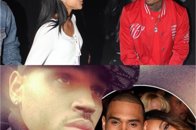 EXCLUSIVE: Karrueche CAUGHT Sneaking Into Chris Brown’s Mansion at 3AM!
