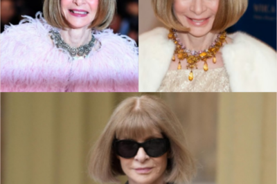 Anna Wintour’s dark side exposed by a former Vogue executive! Shocking details that many find hard to believe.