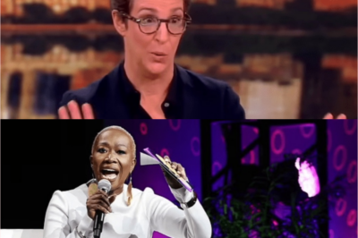 An MSNBC staff member shared a video showing a tense confrontation between Joy Reid and Rachel Maddow, which ultimately led to her being let go from the program.
