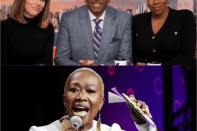 MSNBC executives are receiving significant criticism following the release of leaked evidence indicating they took bribes in exchange for firing Joy Reid: “It was all because of that jerk…”