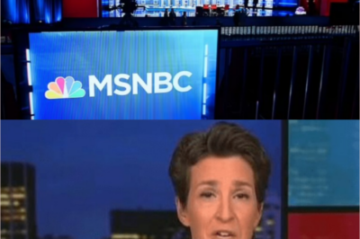 Joe Scarborough and his spouse, Mika Brzezinski, proudly proclaimed that they possess a “golden pass of protection,” ensuring that MSNBC higher-ups cannot reprimand them, even if they desired to do so.