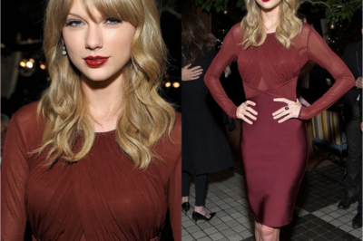 Taylor Swift was suddenly recognized as an illegitimate child by a stranger