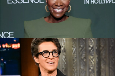 Rachel Maddow expresses disappointment in MSNBC’s unexpected choice to cancel the programs of Joy Reid and Alex Wagner because of a contract dispute, causing shock among viewers.