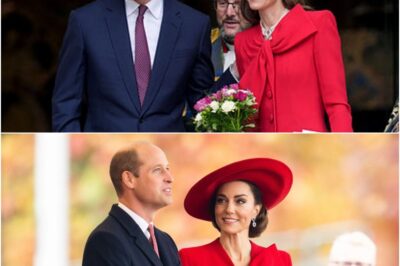 Kate Middleton Breaks Silence on Prince William’s Beard – Her St. Patrick’s Day Comment Sparks Royal Drama!