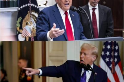 Trump’s Shocking Plot Unveiled: Lifting Russia Sanctions After a Scathing Blow to Zelensky – What Happens Next Will Stun You!