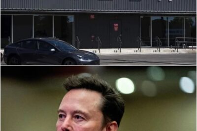 Elon Musk’s 8-Word Bombshell Drops After Canada’s Jaw-Dropping Move to Crush Tesla—The Terrifying Truth He Revealed Will Leave You Speechless!