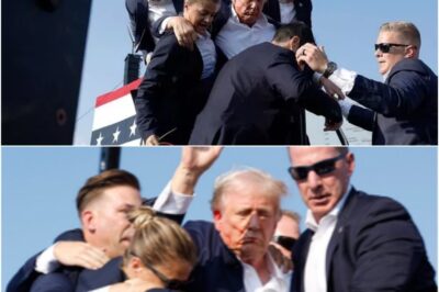 🚨 BOMBSHELL: Trump EXPOSES The DARK Truth About His Assassination Attempt – Deep State PANICKING! 😱