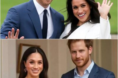Exclusive: Prince Harry’s Stunning Announcement—The Truth About the Twin Princesses’ Biological Mother!