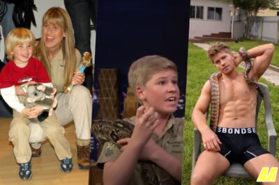 Robert Irwin’s UNBELIEVABLE Transformation: From Steve’s Shy Son to Wildlife TV Tycoon!