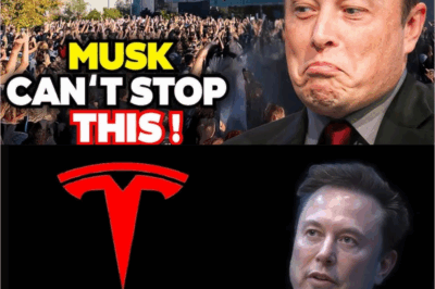 SHOCKING: Top 5 States On the Verge of Collapse as Elon Musk’s Empire Crumbles—Tesla & Twitter X Staff in Panic!