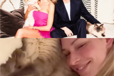 Sam Thompson suggested the idea of getting back together with Zara McDermott while they looked after a cat together – followers are excited to find out if there will be a positive conclusion.