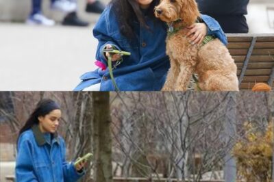 Rachel Zegler confidently strolls with her pet dog despite the disappointing performance of Snow White at the box office—what is the reason for her seemingly composed demeanor amidst the turmoil?