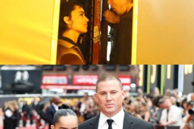 After her dramatic breakup with Channing Tatum, has 36-year-old actress Zoë Kravitz discovered a new romantic interest in “Caught Stealing” co-star Austin Butler following their on-set smooch? Is this a whirlwind love affair or just a short-lived fling for Hollywood’s latest “it girl”?
