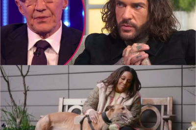 Pete Wicks ‘lands second series’ of For Dogs’ Sake: ‘A worthy successor to Paul O’Grady’