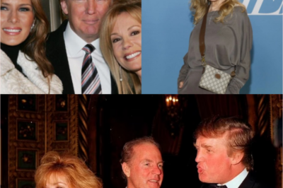 Kathie Lee Gifford shocks by declaring she’s “ready” to be Trump’s mistress if he agrees: “It all started that day…”