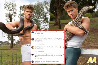 THE WILDLIFE WARRIOR’S SECRET’S OUT! 🔥 Robert Irwin’s Jaw-Dropping Bonds Photoshoot Leaves Fans GAGGING – ‘From Crocodiles to Briefs, He’s Conquering Everything!’ 😂 The Internet’s Losing Its Mind Over This Sultry Snap