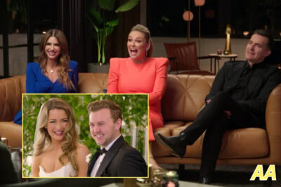 Love Show Alternatives: 5 Must-Sees to Cure Your MAFS Withdrawal!