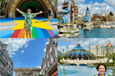 epic adventure I was one of the first people in the world to visit Universal’s new mega theme park – one attraction took my breath away